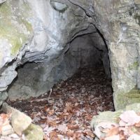 SECLUDED HUNTING PROPERTY