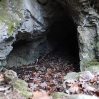 SECLUDED HUNTING PROPERTY images 2