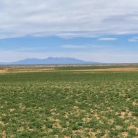 Cahoen Mesa Ranch images 3