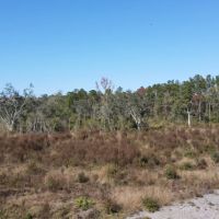 Turkey Scratch Farm images 3