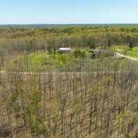 Golden Mane Acres images 2