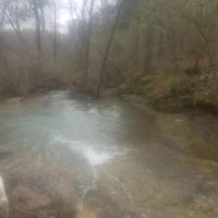 SECLUDED END OF THE ROAD PRIVACY images 3