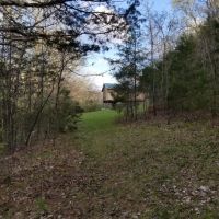 SECLUDED END OF THE ROAD PRIVACY images 4
