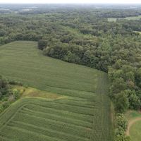 77 Acres With Home and Barns images 2