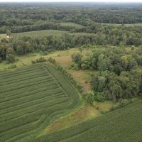 77 Acres With Home and Barns images 4