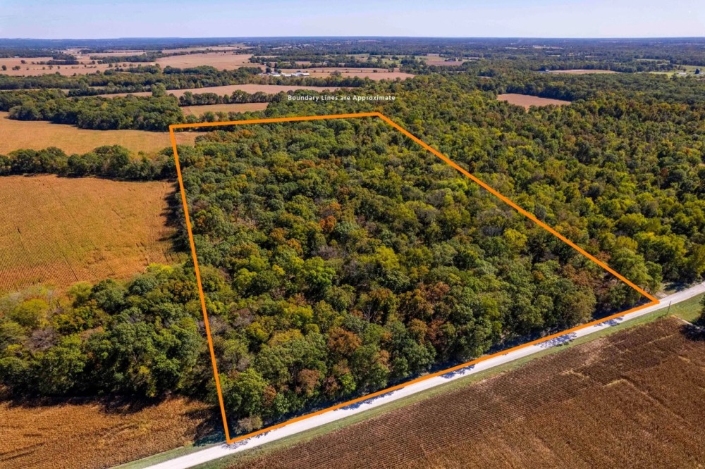 28.5 Acre Hunting Homesite Tract for Sale Lincoln County featured image