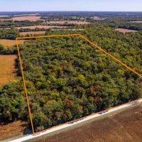 28.5 Acre Hunting Homesite Tract for Sale Lincoln County images 1