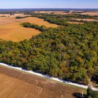 28.5 Acre Hunting Homesite Tract for Sale Lincoln County images 2