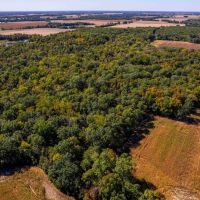 28.5 Acre Hunting Homesite Tract for Sale Lincoln County images 3