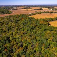 28.5 Acre Hunting Homesite Tract for Sale Lincoln County images 4