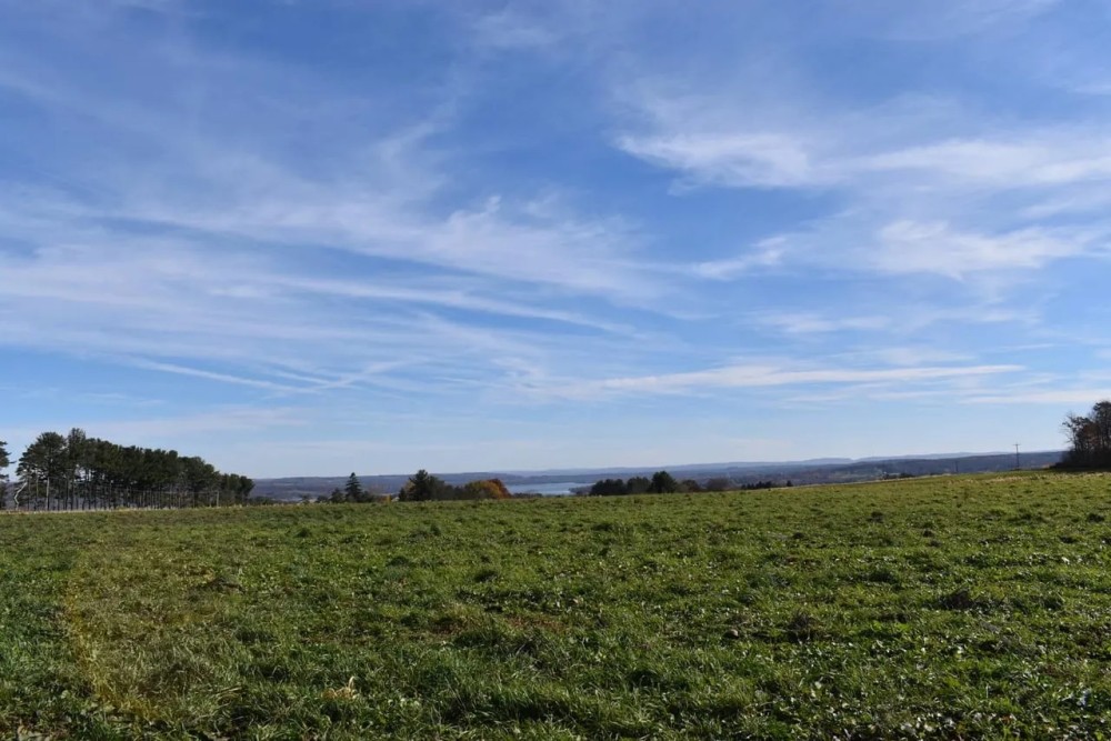 Stoneledge Lake View featured image