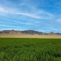 Washington Creek Ranch images 5