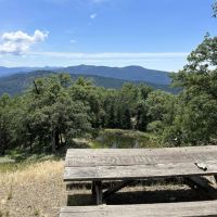 Hunting Cabin in Mad River images 3