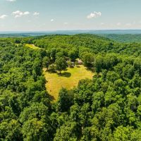 835 - Acres of Hunting and Timber Land House Cabin Mt.Pleasant Arkansas images 3