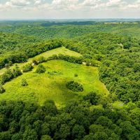 835 - Acres of Hunting and Timber Land House Cabin Mt.Pleasant Arkansas images 4