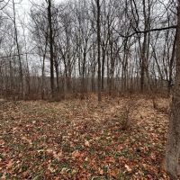 10 Acres - Brown Co. - Mt Liberty Rd. images 4