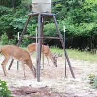 2016 Annual Deer Lease - East Texas
