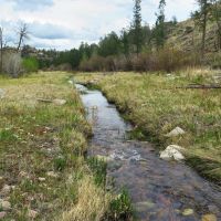 Cottonwood Creek Cabin