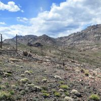 Cottonwood Creek Cabin images 3
