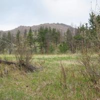 Cottonwood Creek Cabin images 4