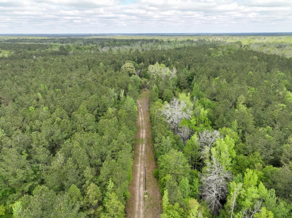 49 Acres 955 CR 4086 featured image
