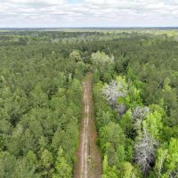 49 Acres 955 CR 4086