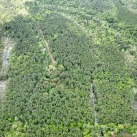 49 Acres 955 CR 4086 images 2