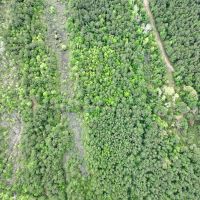 49 Acres 955 CR 4086 images 3