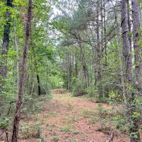 49 Acres 955 CR 4086 images 4
