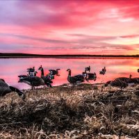 Double Barrel Hunting Lodge images 3