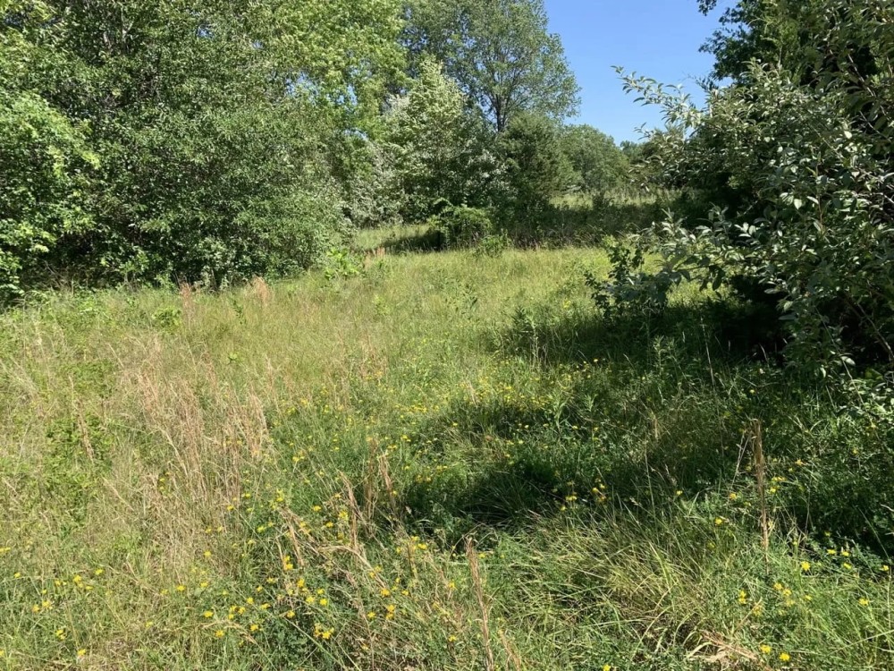 Moberly Whitetail Tract 17 featured image