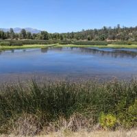 RR Ranch
