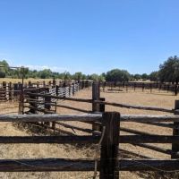 RR Ranch images 4