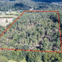 Baker Rd - 44 acres - Muskingum County images 2