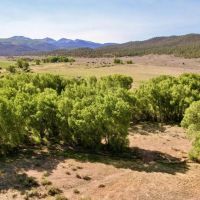 Captivating Culebra Creek Ranch images 4