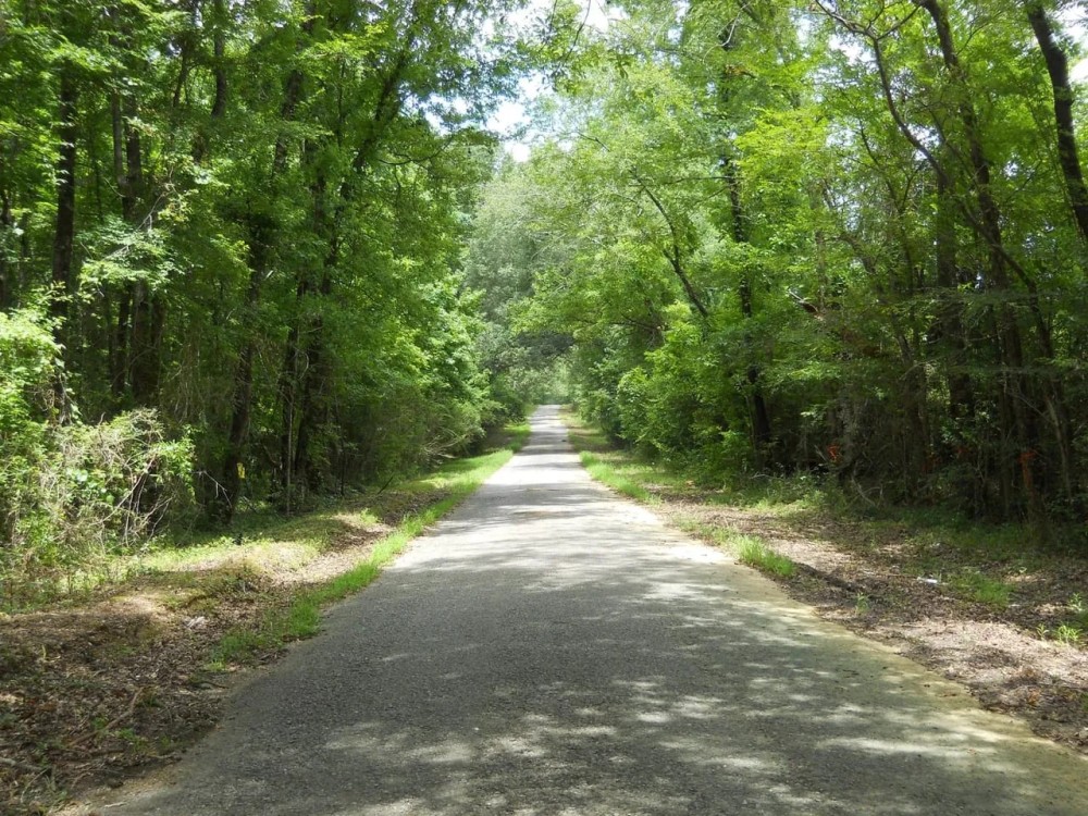1152 - Acres of Hunting Land in Jefferson County Mississippi featured image
