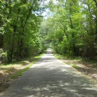 1152 - Acres of Hunting Land in Jefferson County Mississippi images 1