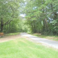 1152 - Acres of Hunting Land in Jefferson County Mississippi images 2