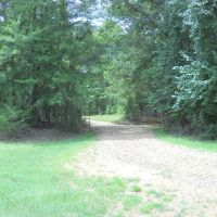 1152 - Acres of Hunting Land in Jefferson County Mississippi images 4