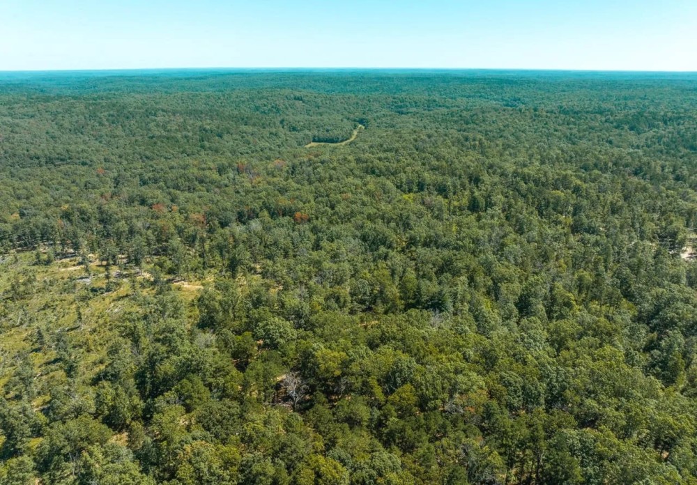 Possom Trot Hunting Oasis featured image