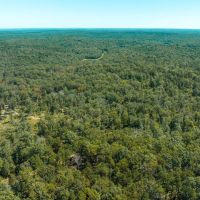 Possom Trot Hunting Oasis