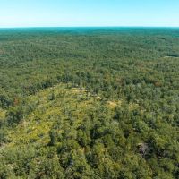 Possom Trot Hunting Oasis images 2