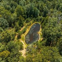 Possom Trot Hunting Oasis images 3