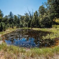 Possom Trot Hunting Oasis images 4
