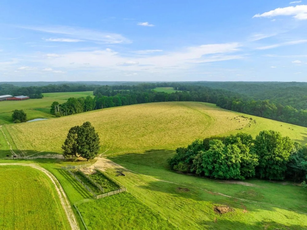 186 - Acres in Macon County Tennessee - Exquisite Farmhouse on Expansive Land featured image