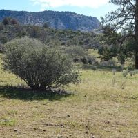 Blacktail Hills Retreat images 4
