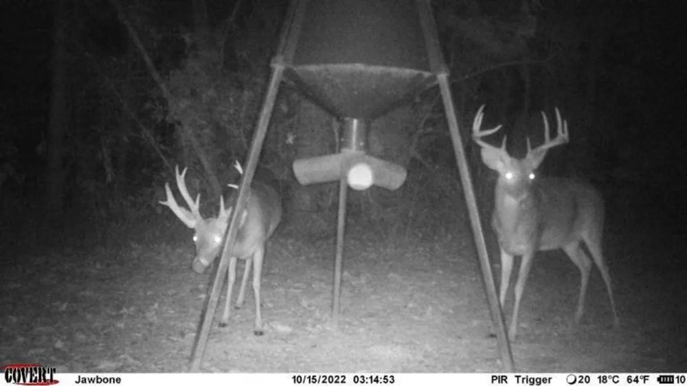 2510 Acres Hunting Property for Sale St Tammany Parish LA featured image