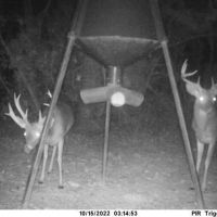 2510 Acres Hunting Property for Sale St Tammany Parish LA