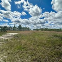 2510 Acres Hunting Property for Sale St Tammany Parish LA images 2