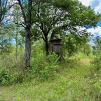 2510 Acres Hunting Property for Sale St Tammany Parish LA images 4